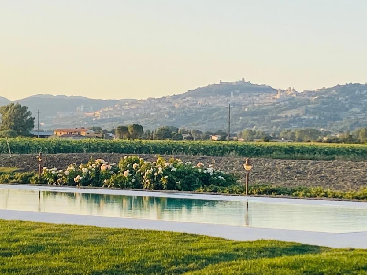 Borgo Degli Angeli Resort E Spa San Vitale Екстериор снимка